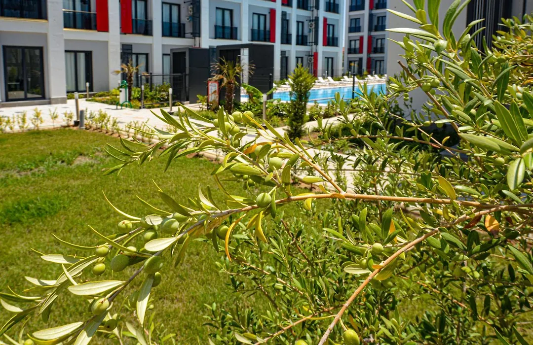 C Suites Antalia Airport-1
